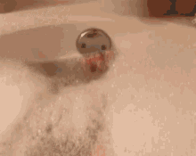 Bathtime Sexy GIF - Bathtime Sexy Boo GIFs