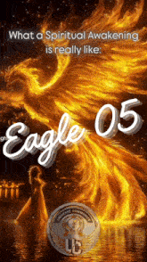 a poster that says what a spiritual awakening is really like eagle 05 on it