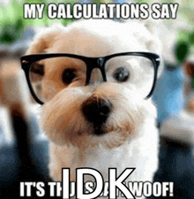 My Calculations Say Its Thursday Woof Woof GIF
