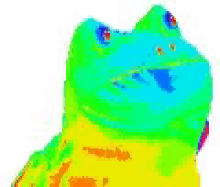 Frog Meme GIF - Frog Meme Mlg GIFs