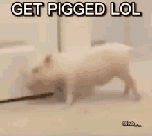 Get Pigged GIF