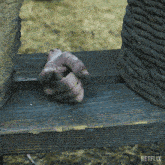 a hand is sticking out of a hole in a wooden bench with netflix written on the bottom