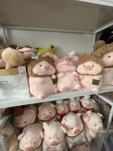 a shelf full of stuffed pigs and frogs with a paper bag that says " paper bag " on it