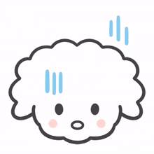 bichonfrise dog