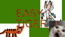 Easy Tiger Funny Animals GIF - Easy Tiger Funny Animals GIFs