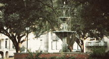 Park Water Fountain GIF