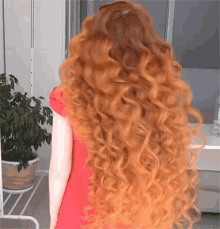 Redhead Hair Porn GIF - Redhead Hair Porn Hair GIFs