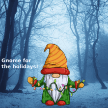 Gnomes Memes Cute Gnomes GIF - Gnomes Memes Cute Gnomes GIFs