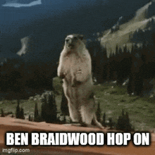 a ground squirrel is standing on its hind legs with the caption ben braidwood hop on