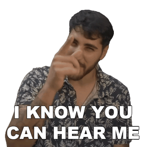I Know You Can Hear Me Rudy Ayoub Sticker - I Know You Can Hear Me Rudy Ayoub I Know You Can Hear What I Am Saying Stickers