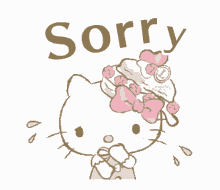 sorry kitty