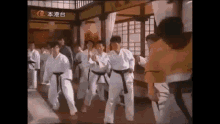 kung fu donnie yen fist of fury dojo karate