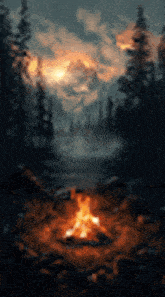 a campfire in the middle of a forest with trees in the background