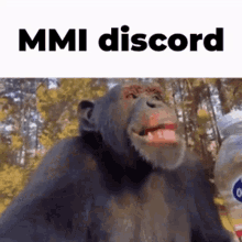 Mmi Morsmutual GIF - Mmi Morsmutual Discord Mmi GIFs