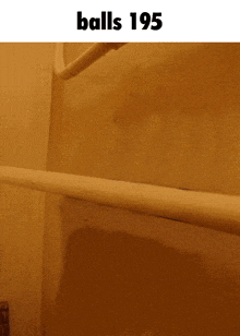 a picture of a cat on a railing with the words balls 195