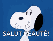 Snoopy Smile GIF - Snoopy Smile Cheesy GIFs