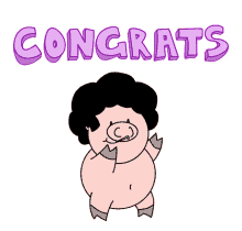 piggy pig pigs congratulations congrats
