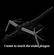 Ender Dragon Minecraft Ender Dragon GIF - Ender Dragon Minecraft Ender Dragon Touch The Ender Dragon GIFs