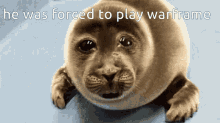 He Was Forced To Play Warframe GIF - He Was Forced To Play Warframe Crying Seal GIFs