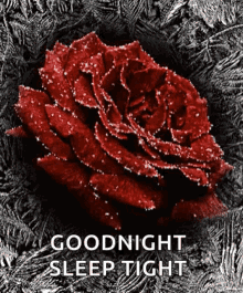 Good Night Sparkles GIF - Good Night Sparkles Flowers GIFs