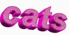 Pink Cats GIF