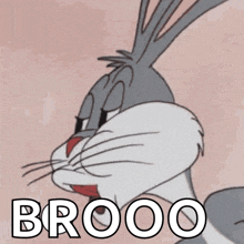 bugs bunny is shown with the word brooo written on his face