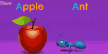 apple for
