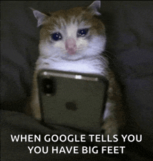 a cat is crying while looking at a cell phone with a caption that says when google tells you you have big feet