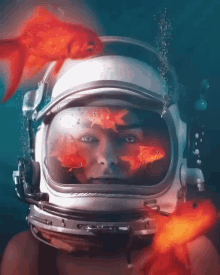 Gold Fish Glowing GIF - Gold Fish Glowing Diving Helmet GIFs