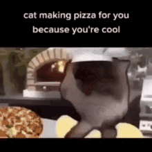 pizza lecotatuta cat