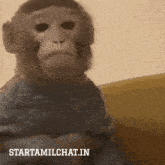 a monkey is sitting on a couch with the words starttamilchat.in behind it