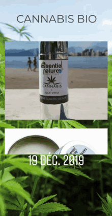 Cannabis Cosmétique GIF - Cannabis Cosmétique Nature GIFs