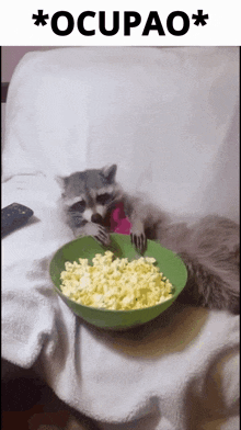 a raccoon sits on a couch eating popcorn from a green bowl