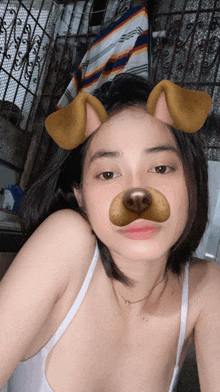 a woman wearing a dog face mask looks at the camera