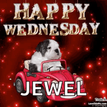 Happy Wednesday Cute GIF - Happy Wednesday Cute Dog GIFs