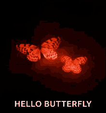 Butterfly Wings Flapping GIF - Butterfly Wings Flapping Red GIFs
