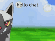 Poochyena Pokemon Hello Chat GIF - Poochyena Pokemon Hello Chat GIFs