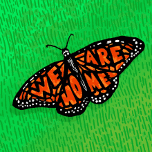 We Are Home Butterfly GIF - We Are Home Butterfly Monarch GIFs