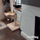 Relaxing By The Fireplace Viralhog GIF - Relaxing By The Fireplace Viralhog Chilling GIFs