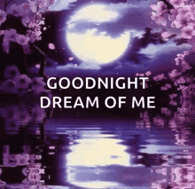 Goodnight Dreams GIF - Goodnight Dreams Moon GIFs
