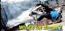 a man is being attacked by a shark and the caption says " i smell blood in the water "