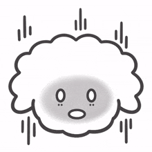 poodle dog