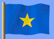 a blue flag with a yellow star in the center