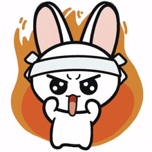 animal bunny rabbit cute angry