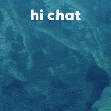 Seal Hi Chat GIF - Seal Hi Chat GIFs