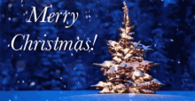 Selamat Natal Merry Christmas GIF - Selamat Natal Merry Christmas Christmas Tree GIFs
