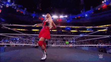 Lacey Evans Wwe GIF - Lacey Evans Wwe Nxt GIFs