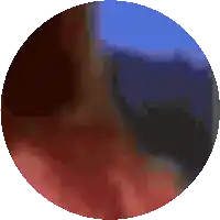 a circle with a blue sky in the middle