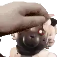 a person is petting a stuffed animal that looks like a dog .