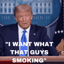 I Want What Your Smoking Smoking GIF - I Want What Your Smoking Smoking GIFs